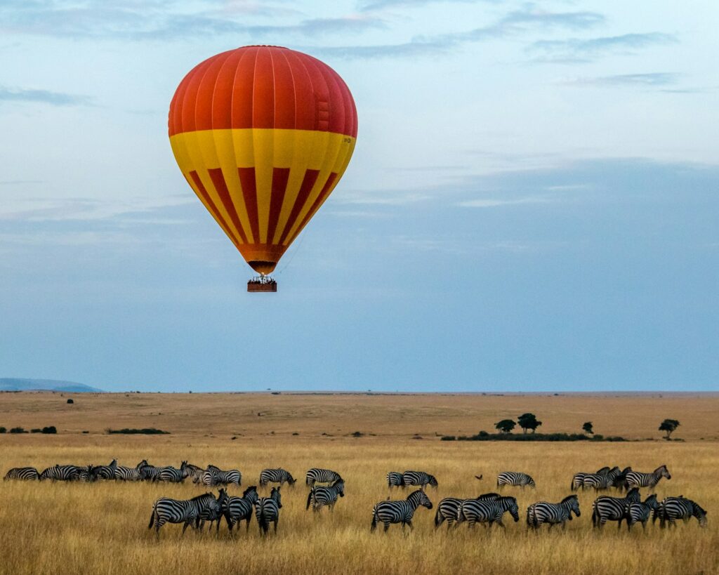 3 DAYS MAASAI MARA