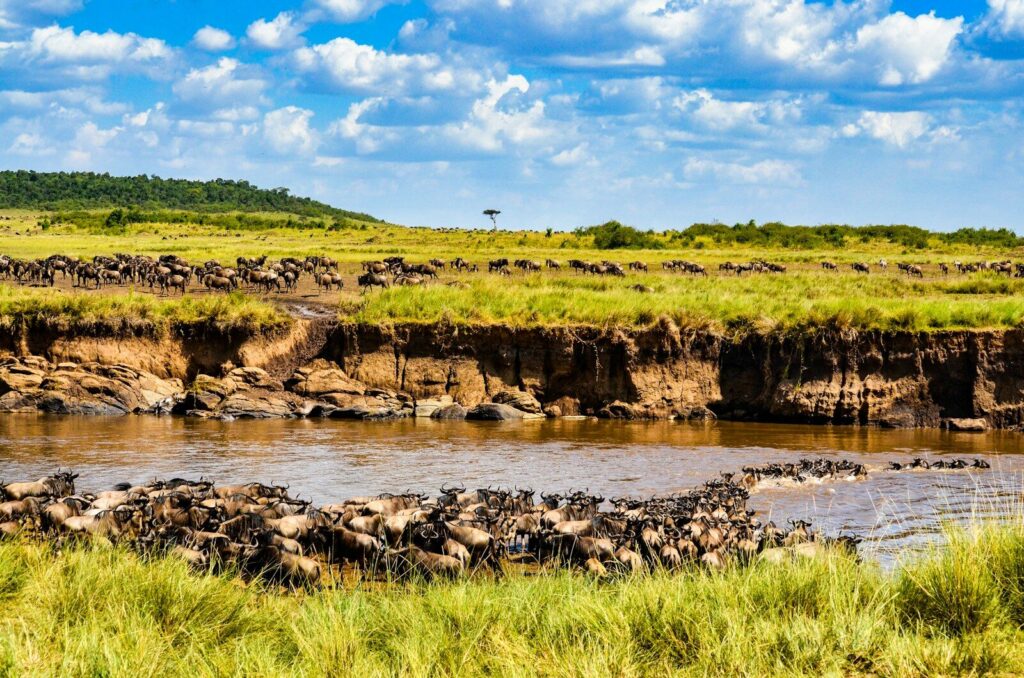 8 DAYS KENYA BUDGET SAFARI