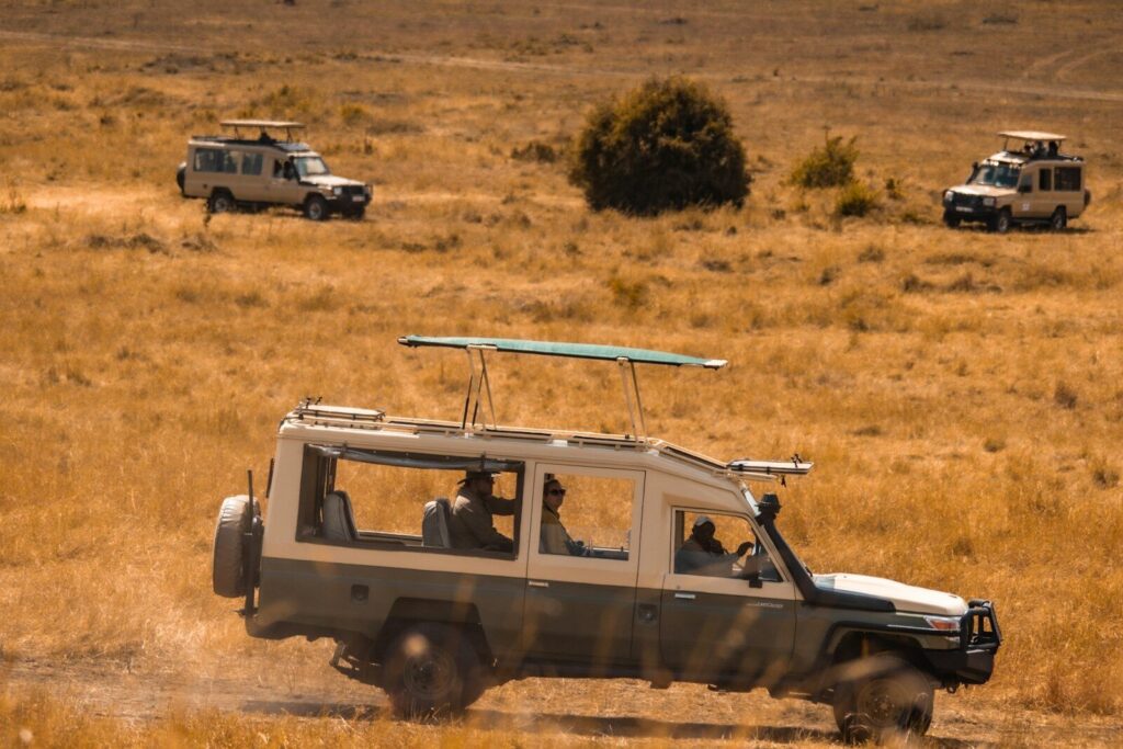 11 days kenya & tanzania safari