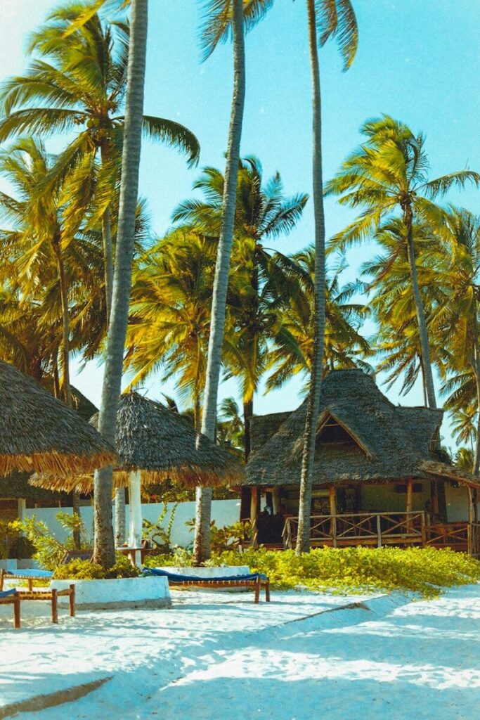 BEST 5 DAYS ZANZIBAR CHRISTMAS HOLIDAY.