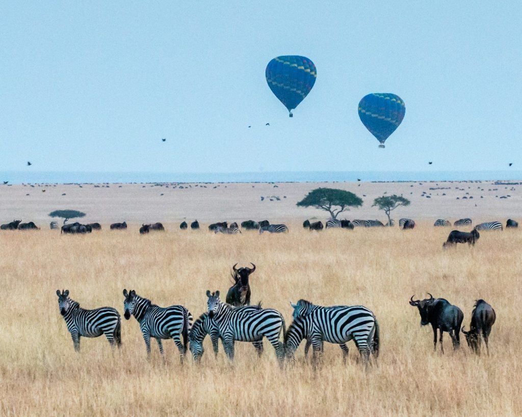 Top 10 safari destinations in Kenya