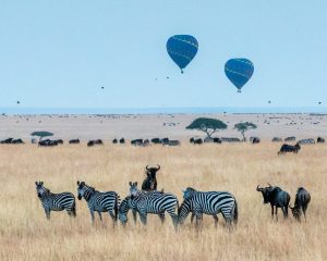 Top 10 safari destinations in Kenya
