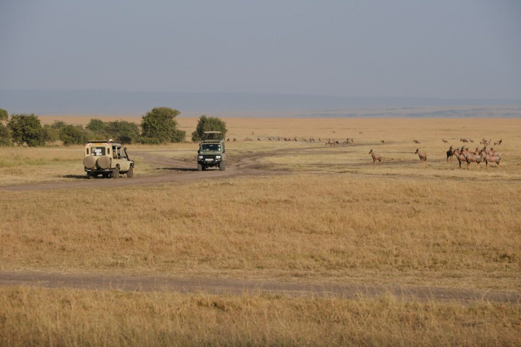 A couple of trucks driving down a dirt road