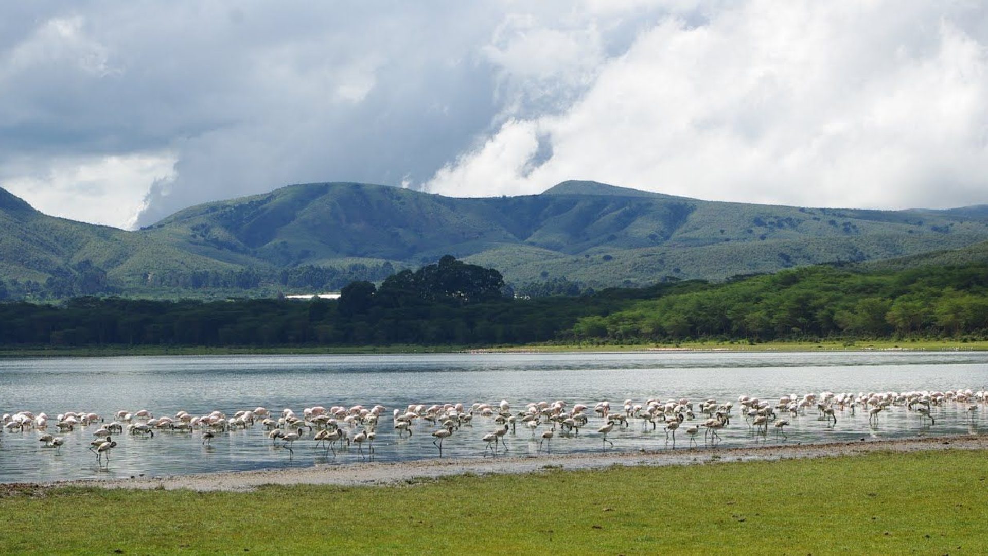 Lake-Naivashas LAKE NAIVASHA