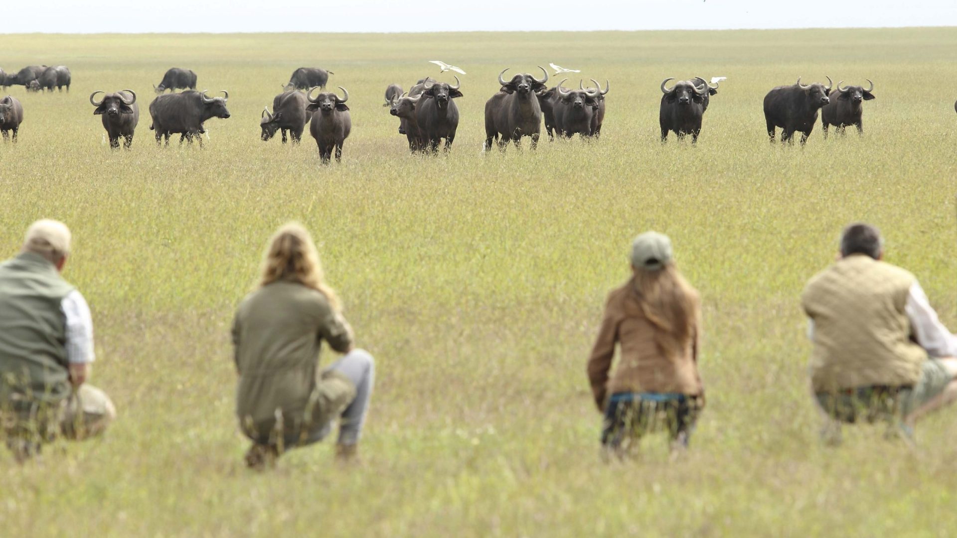 Ol-Pejeta-Bush-Camp-walking-safari The Ol Pejeta Conservancy