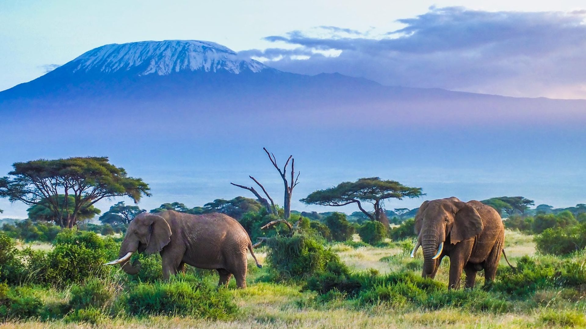 amboseli-national-park-3 Amboseli-National-Park